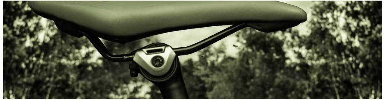 Bicycle saddle and seatpost - Biketic